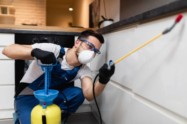 Best Rat Extermination Near Me  in Maplewood, MN