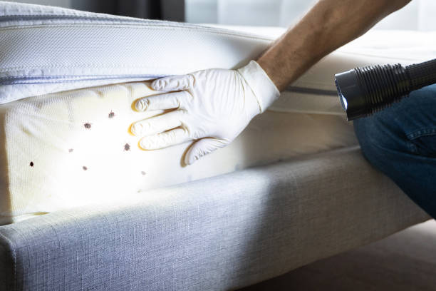 Best Pest Removal Services  in Maplewood, MN