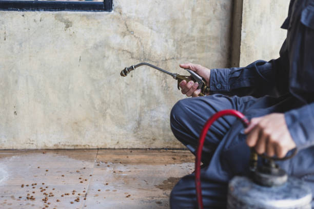 Best Affordable Pest Control Services  in Maplewood, MN